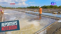 Salt industry sa bansa, unti-unti nang humihina? | Reporter's Notebook
