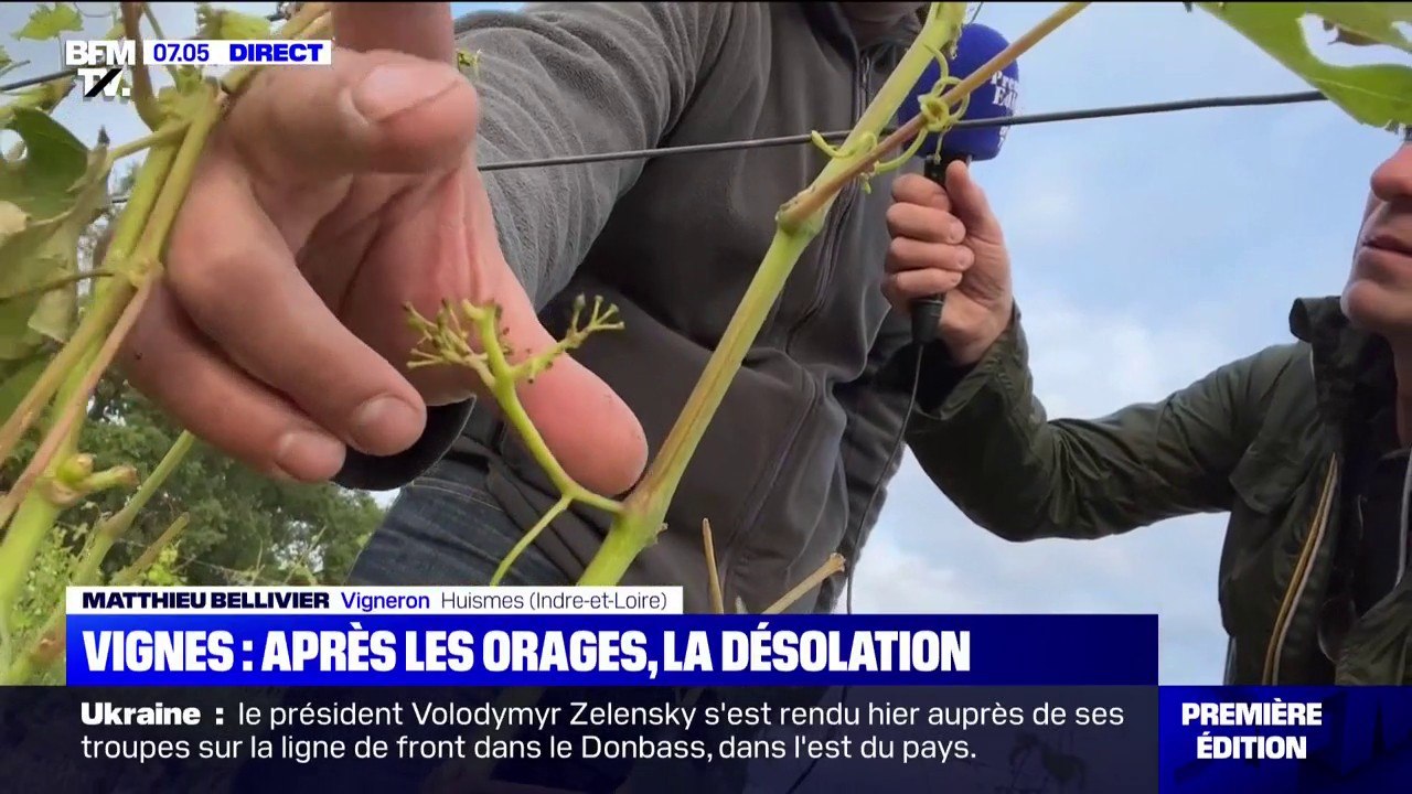 Orages: comment un quart d'heure de grêle samed...