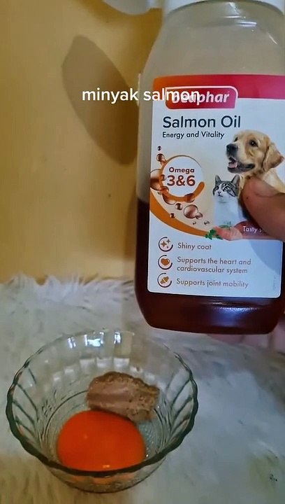 cat food recipe to get fat