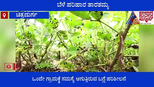 Chitradurga: ಎರಡ್ಮೂರು ವರ್ಷಗಳಿಂದ ರೈತರಿಗೆ ತಲುಪದ ಬೆಳೆ ವಿಮೆ, ಫಸಲ್ ಭೀಮಾ‌ ಯೋಜನೆ