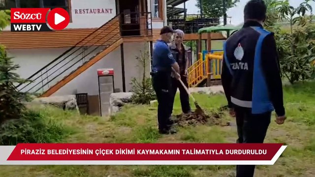 Piraziz belediyesinin fidan dikimi kaymakamın talimatıyla durduruldu