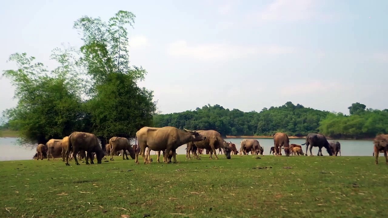 Build Swimming Pool Crocodile Water Slide Around Secret Underground Castle - Part 2
