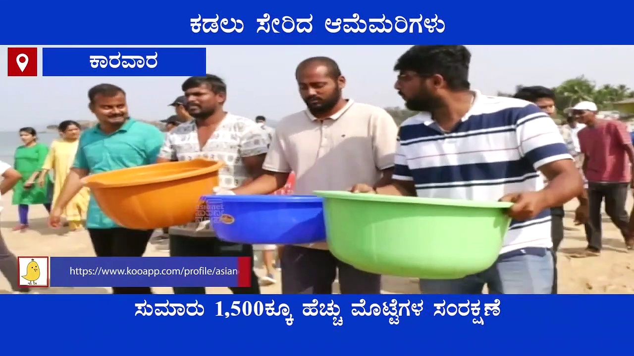 Uttara Kannada: ಸುಮಾರು 1,500ಕ್ಕೂ ಹೆಚ್ಚು ಆಲಿವ್ ರಿಡ್ಲೇ ಸಮುದ್ರಕ್ಕೆ ಸೇರಿಸಿದ ಅರಣ್ಯ ಇಲಾಖೆ