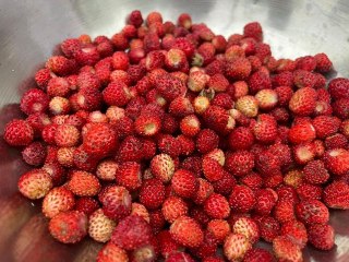 Bu çileğin kilosu 200 TL