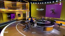 Laurent Delahousse reçoit Matthieu Chedid dans 20H30 le dimanche.