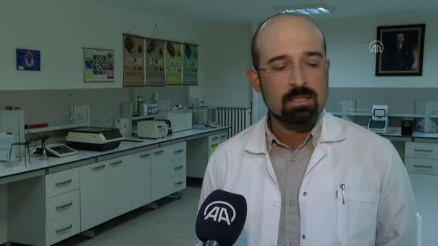 Kırım Kongo Kanamalı Ateşi'ne yol açan kene hakkında doğru bilinen yanlışlar (2)