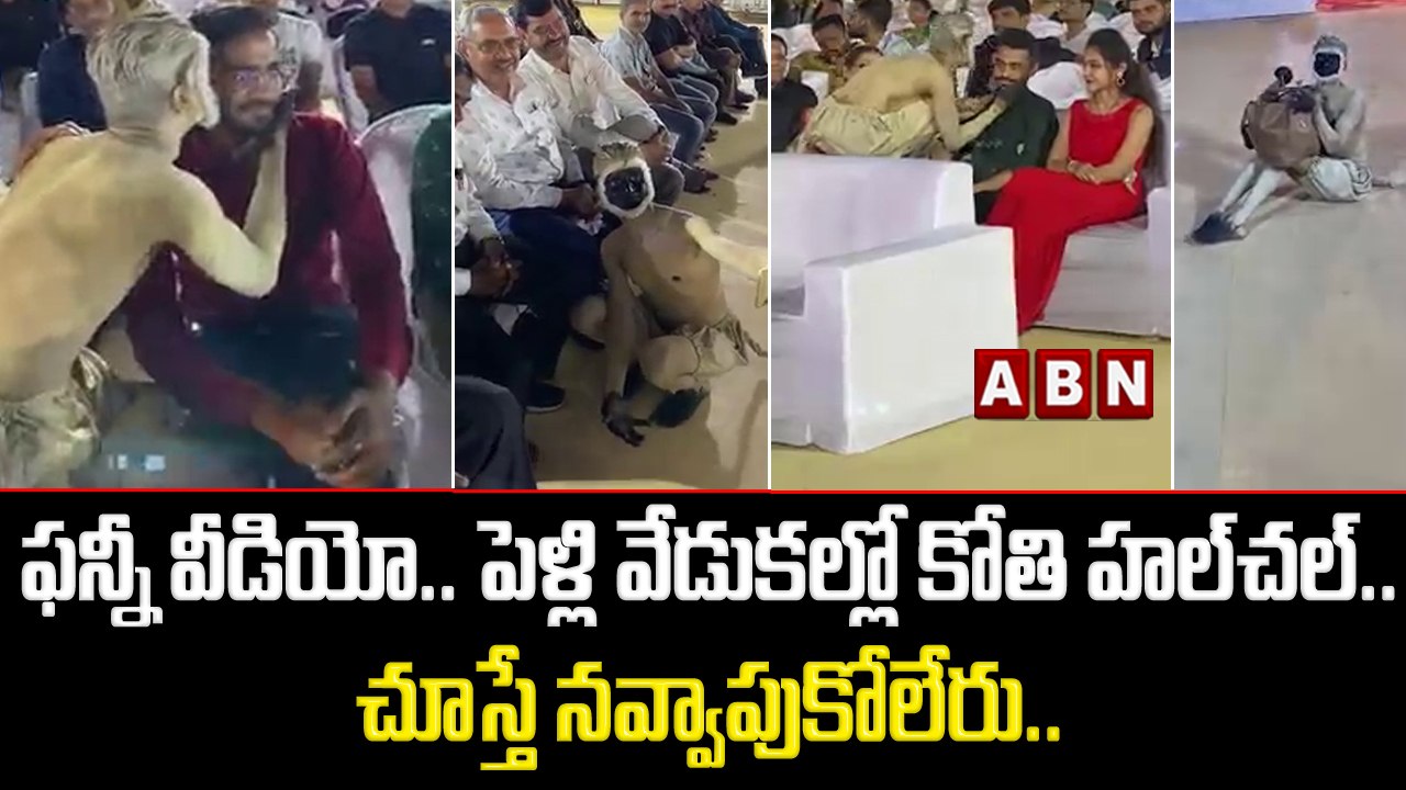 ఫన్నీ వీడియో.. పెళ్లి వేడుకల్లో కోతి హల్‌చల్‌.. చూస్తే నవ్వాపుకోలేరు.. | Monkey Man | ABN Digital