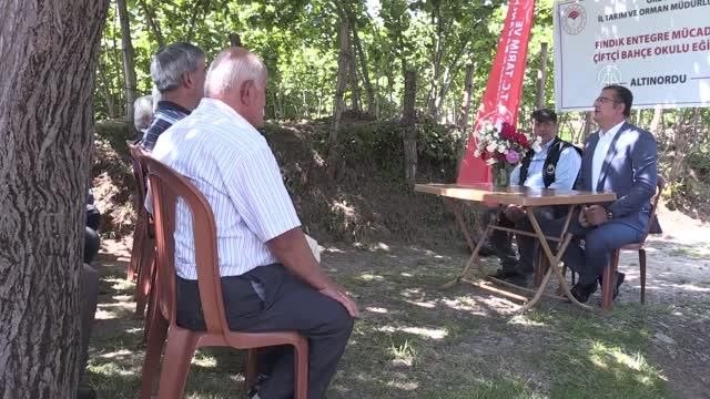 Fındık üreticileri daha yüksek verim ve kalite için Bahçe Okulu nda