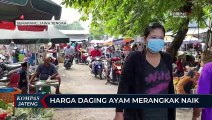 Harga Daging Ayam di Semarang Merangkak Naik