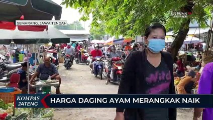 Harga Daging Ayam di Semarang Merangkak Naik