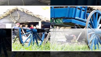 Fiesta de la Patria Gaucha, Tacuarembó, Uruguay  (2017)