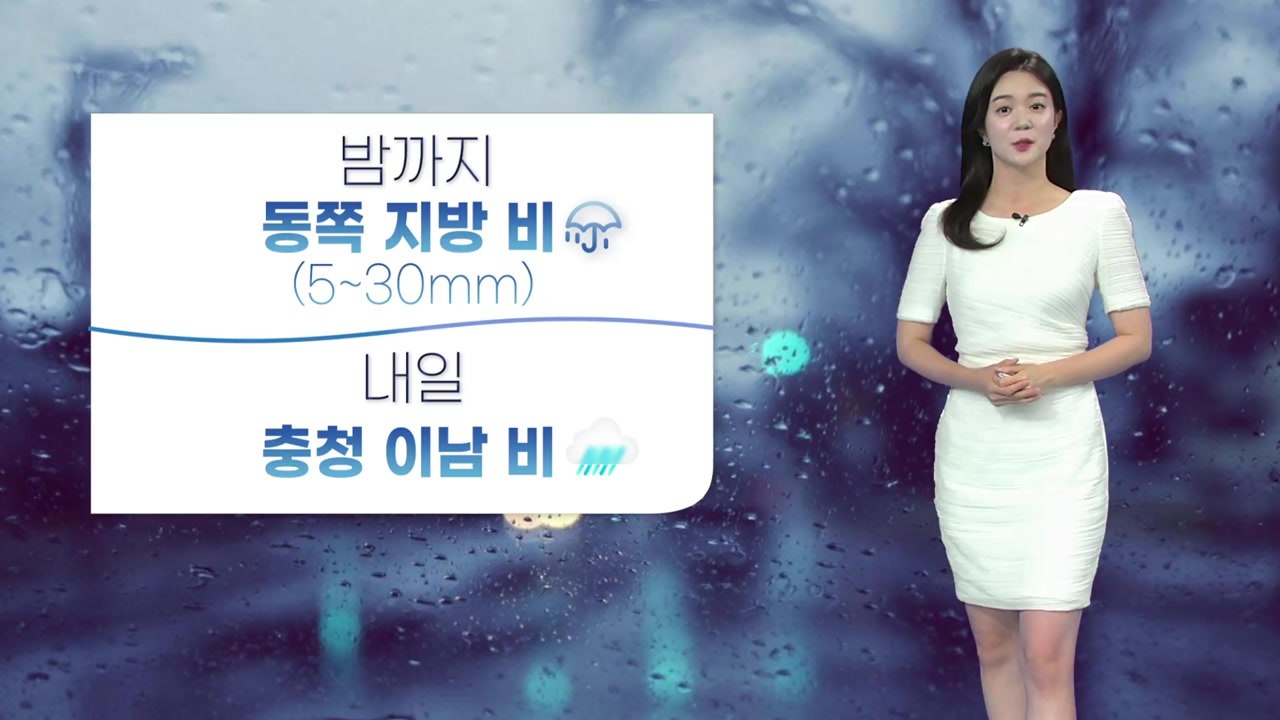 [날씨] 내일 영동·충청 이남 비...수도권 구름 많고 선선 / YTN