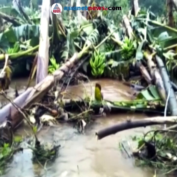 ഇടുക്കി- ജീവിതമാർഗം അടഞ്ഞുപോയ കർഷകർ ഇനിയെന്ത് ചെയ്യും, 'ഞങ്ങൾ അവിടെ കണ്ടത്'