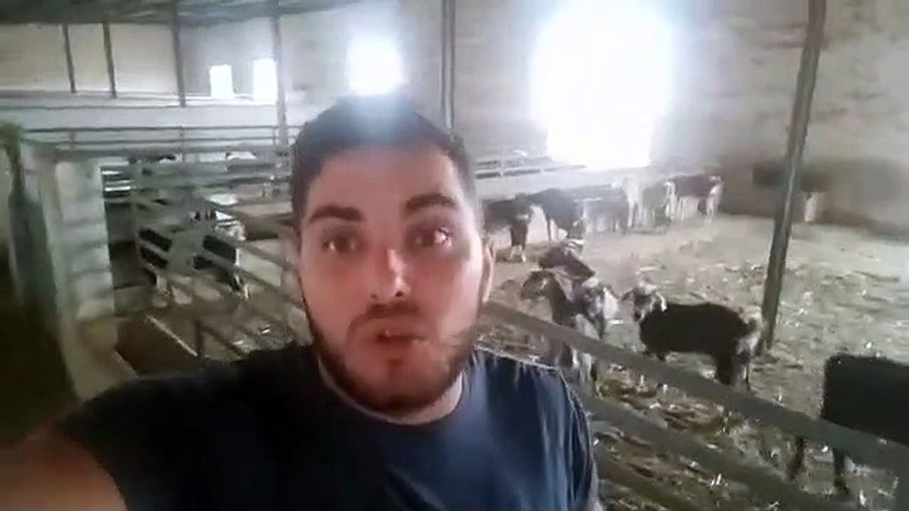 Amarga protesta de un ganadero que advierte: "Si esto sigue así, vamos a morir todos"