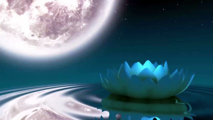 Musik Relaksasi Menenangkan pikiran