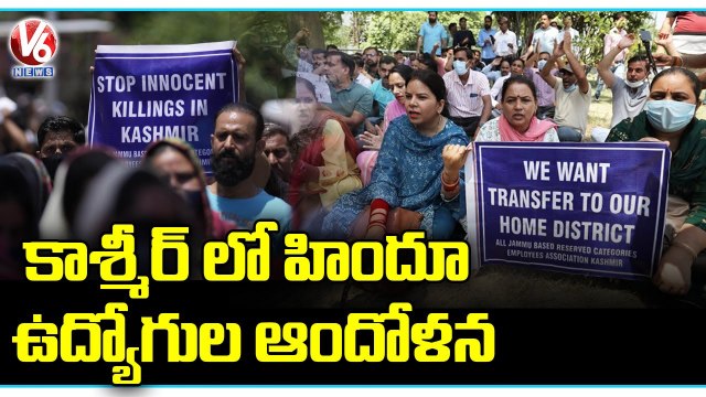 Kashmir Hindu Employees Protest Over Transfer In Srinagar _ V6 News
