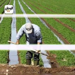 «اتعصب».. شاب ينهي حياة والده وأشقائه الأربعة بالآلي في دشنا والسبب صادم