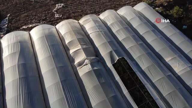 Salatalık tarlada 2, pazarda 5, marketlerde 7 ile 10 lira arası