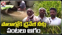 Farmers Face Problems With Agriculture Farms Get Polluted With Drainage Water _ Nalgonda _ V6 News