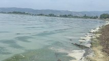 ‘İznik Gölü’nde yüzme yasaklansın’