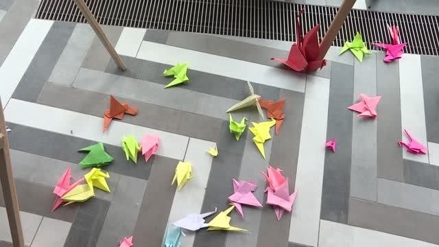 ILO Türkiye Direktörü Özcan'dan çocuk işçiliğiyle mücadele çağrısı