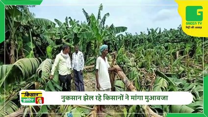 Kisan Bulletin - किसानों के लिए खुशखबरी, एक बार फिर सरकार बढ़ाने जा रही है Kharif फसलों का MSP | Agri News Bulletin
