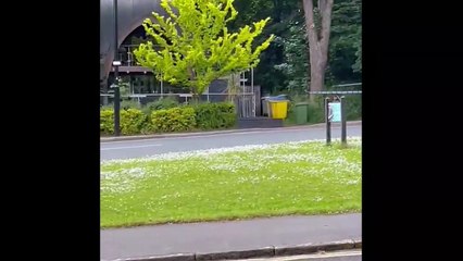 Police scene near Chophaus in Roundhay