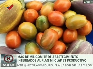 Plan "Mi Clap es Productivo" integró a más de mil comités de abastecimiento en el estado Apure