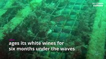 Buried treasure: the fine wines aging at the bottom of the Atlantic Ocean