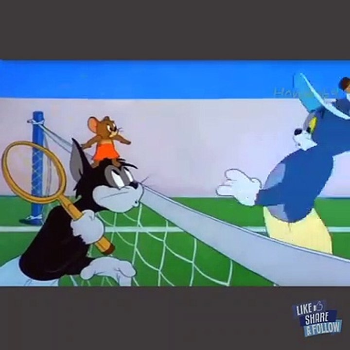Tom and Jerry Cartoon Video