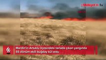 Mardin'de 55 dönüm ekili buğday yandı