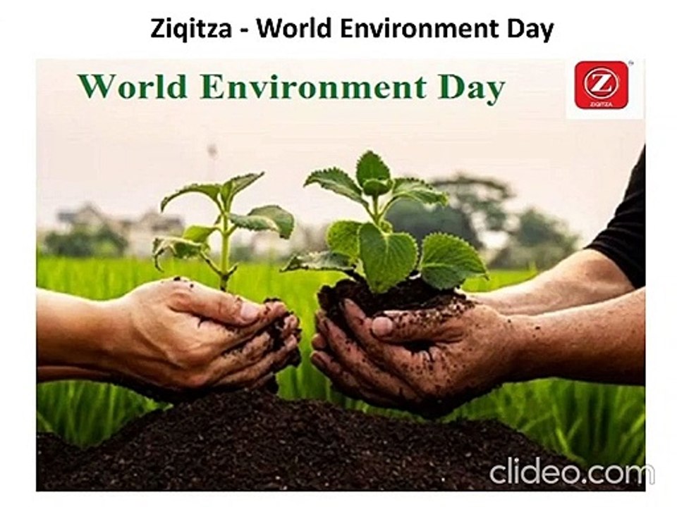 Ziqitza - World Environment Day