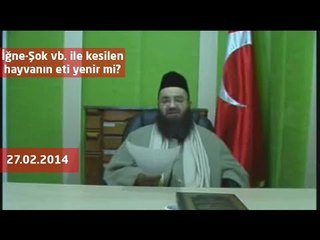 Cübbeli Ahmet Hoca - İğne-Şok vb. ile kesilen hayvanın eti yenir mi?