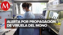 Jalisco alerta por caso sospechoso de viruela del mono; hombre escapó del hospital