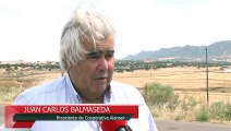 Una plaga de langostas en Extremadura afecta a la agricultura y ganadería