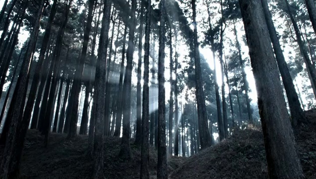 The.Last.Hour.S01.E02.Hindi.