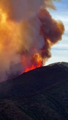 El terral complica el control de un incendio en Málaga cerca de Sierra Bermeja y hace saltar las alarmas