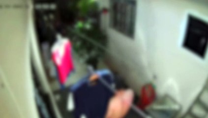 Imagens mostram momento em que Nelci Terezinha Gonzatti foi morta