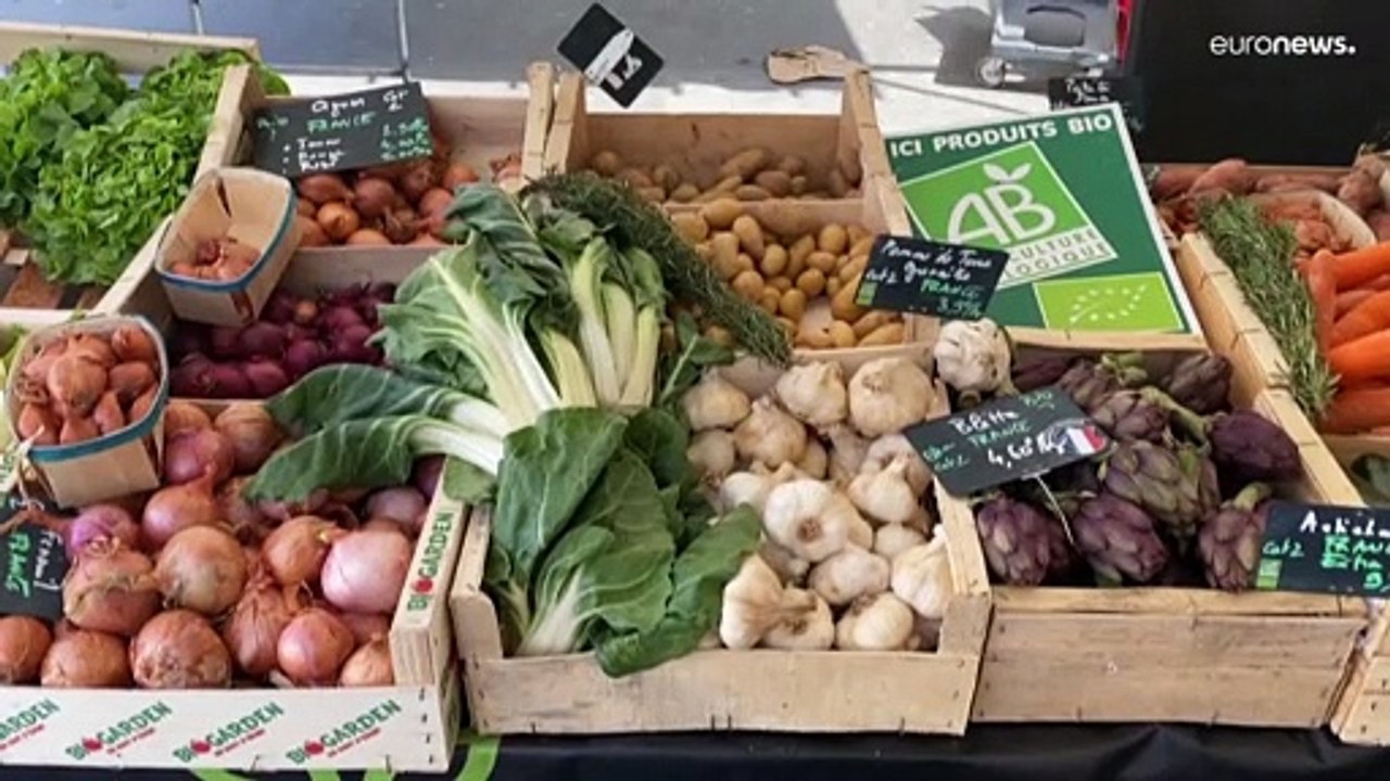 OECD: Weltwirtschaft wird Krieg teuer bezahlen