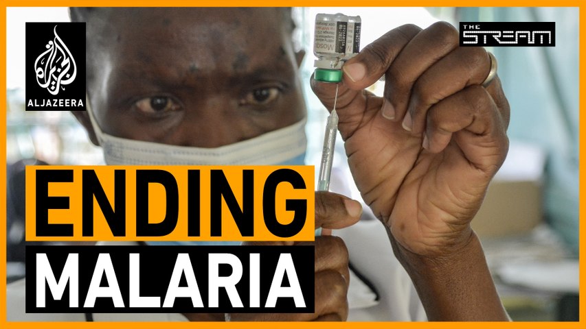 🦟 Can we end malaria within our lifetime? | The Stream