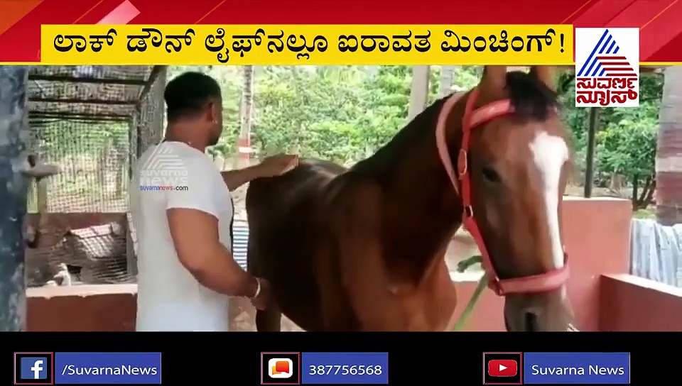 ಕುದರೆ ಸವಾರಿ, ಗೆಳೆಯರ ಜೊತೆ ಹರಟೆ; ಲಾಕ್‌ಡೌನ್‌ನಲ್ಲಿ ದರ್ಶನ್ ಲೈಫ್!