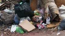 Ayuntamiento dejó escombro, hoy es un basurero en Agua Azul | CPS Noticias Puerto Vallarta