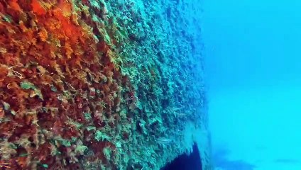 I cacciatori di relitti: la nave Usa LST349 a Ponza