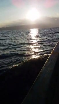 BEAUTIFUL SUNSET #sunset #sunlight