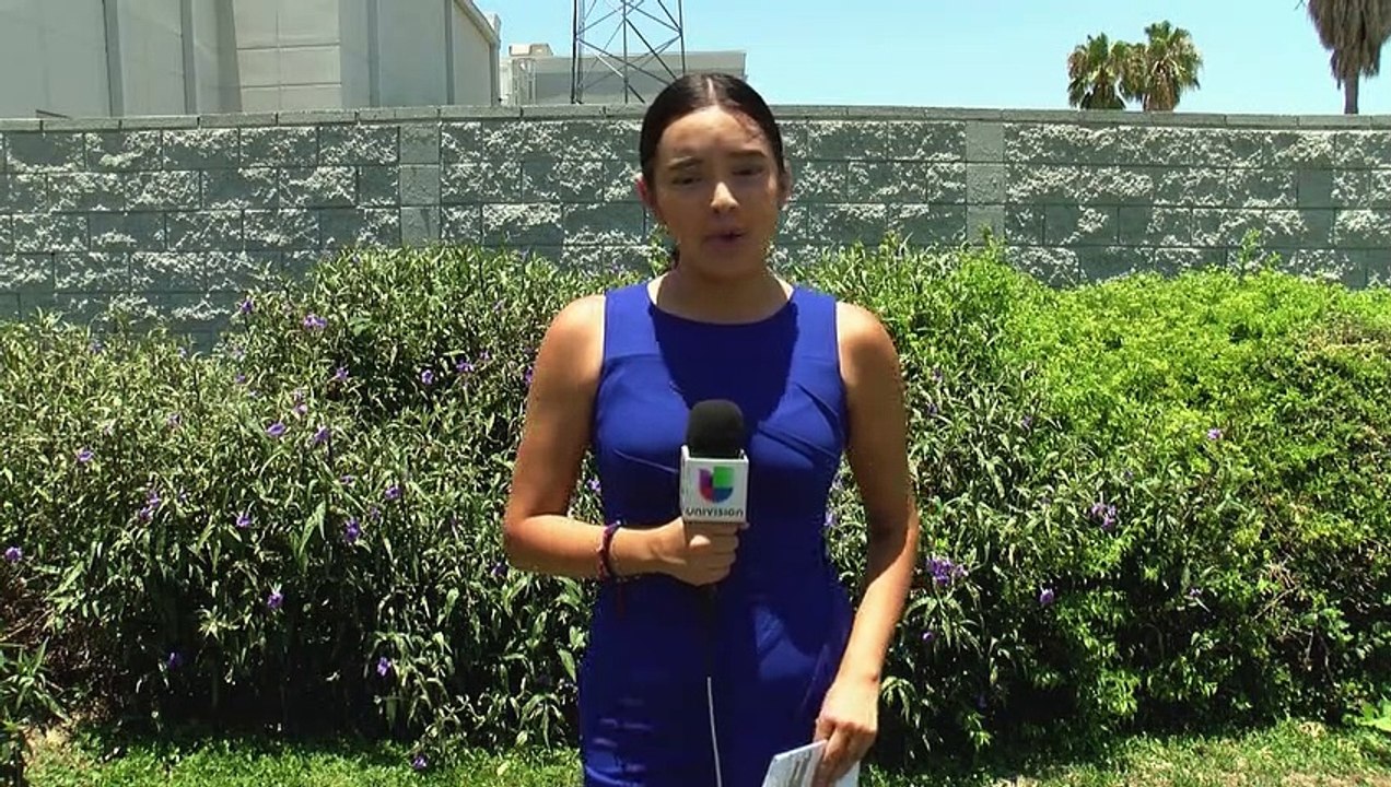 La economía podría verse afectada a causa de la posible prohibición de armas de asalto