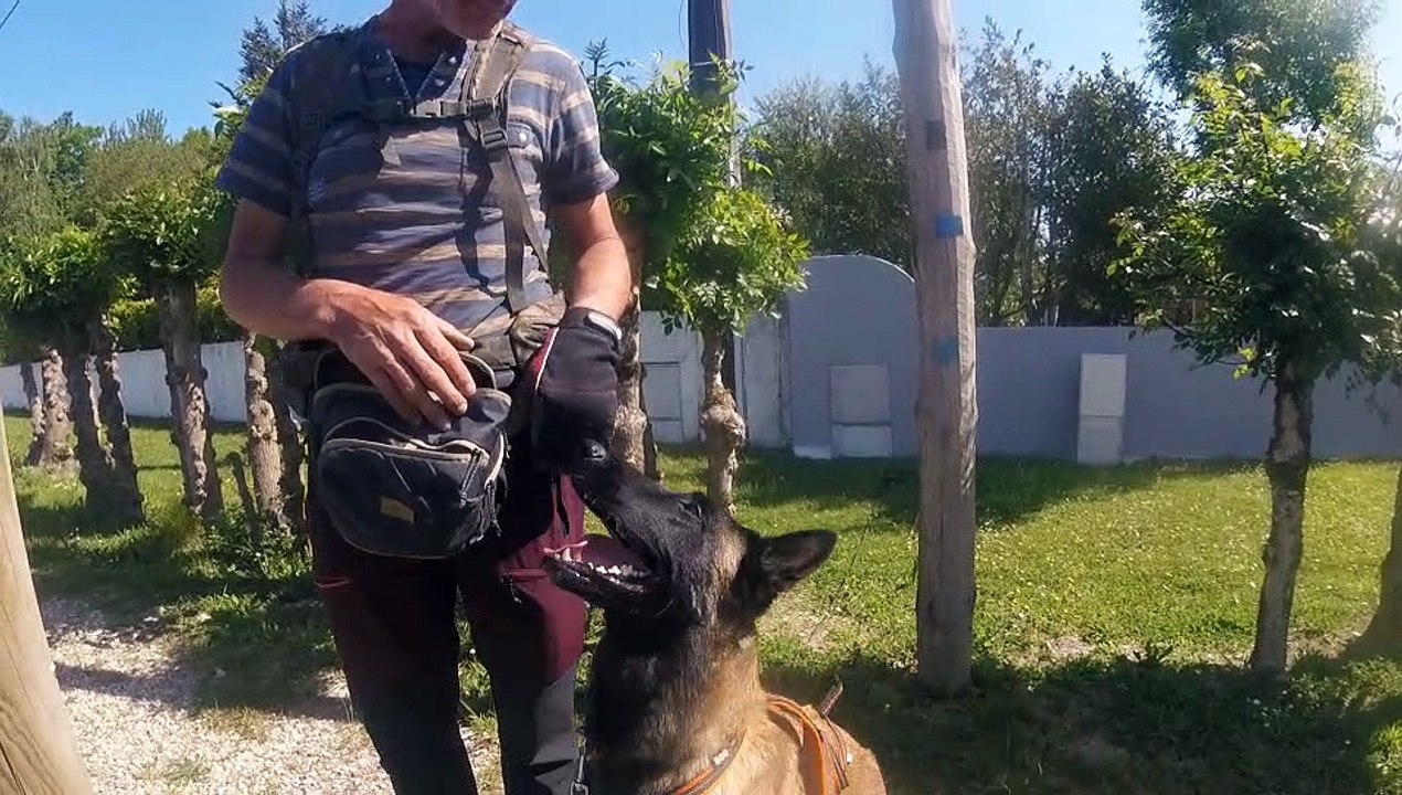 Pyxie le 8 mai