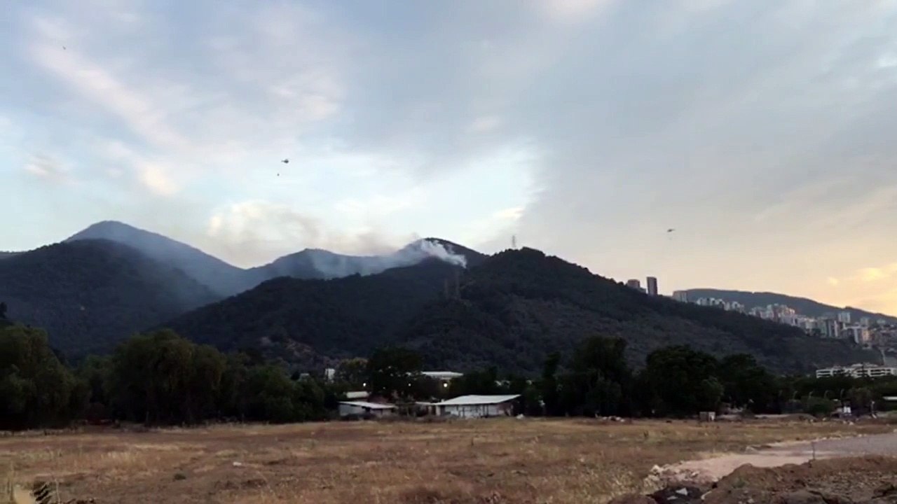 İzmir Balçova'da orman yangını