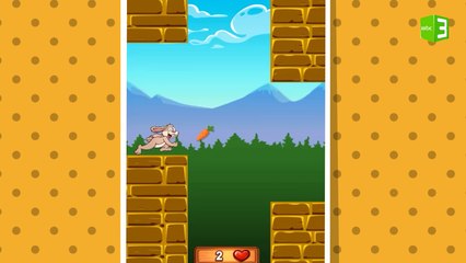 أرنوب الجائع يبحث عن طعامه