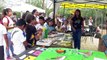 Niños celebran el Día del Medio Ambiente aprendiendo en el Salado | CPS Noticias Puerto Vallarta