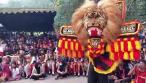 Gebyar Reog Ponorogo 24 Dadak Merak Live Depan Dermaga Telaga Ngebel